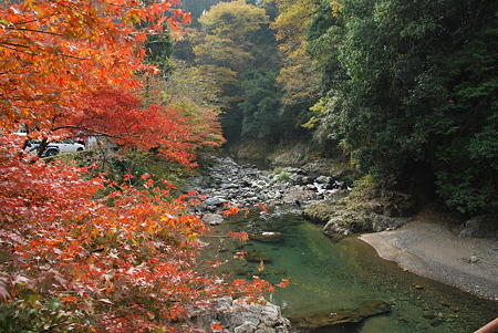 2010年・紅葉のR371-6