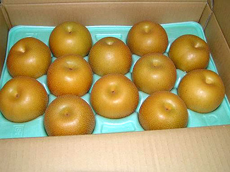 20100906225636