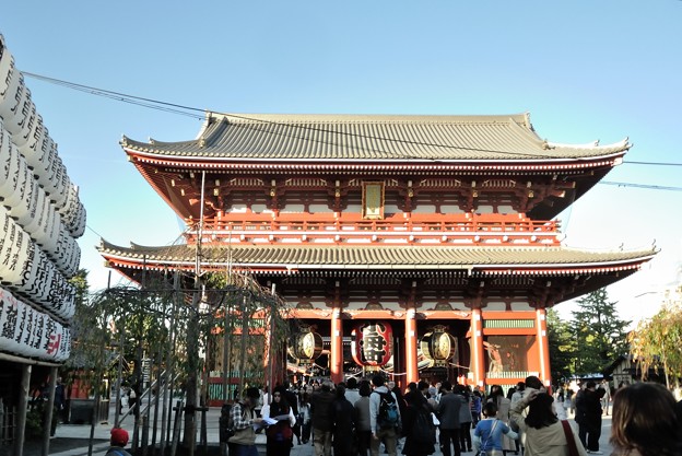 20141114_116