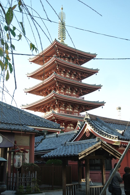 20141114_118