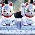 Photos: なで猫ちゃん