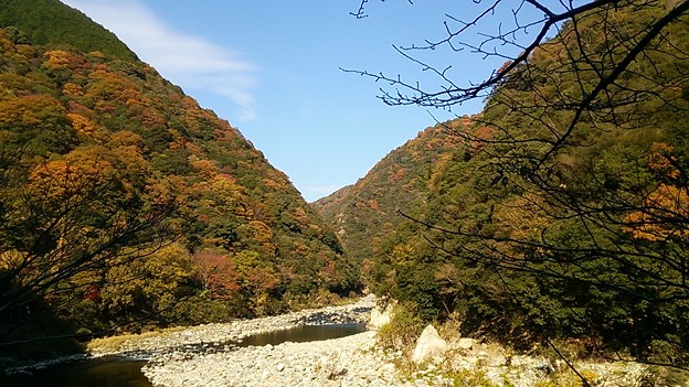 武庫川渓谷の紅葉