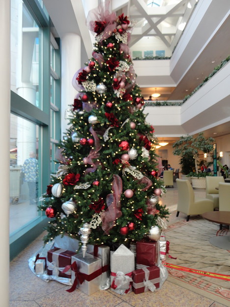 ChristmasTree@Hospital-Dec23-2014-1