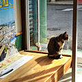 Photos: 手招き猫･･･尾道へ