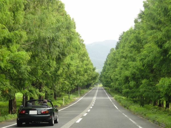 高原風の景色