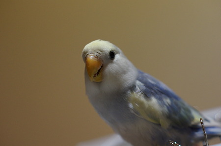 DSC00347