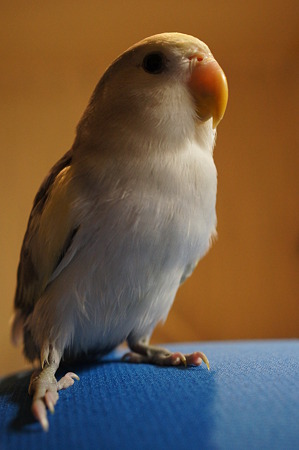 DSC00601