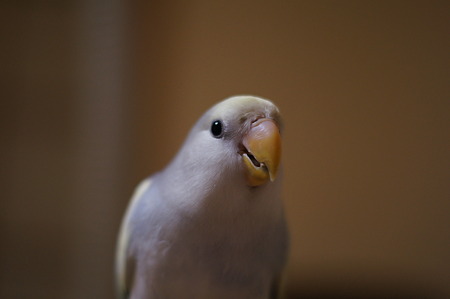 DSC00788