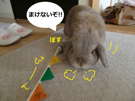 遊ぼう3