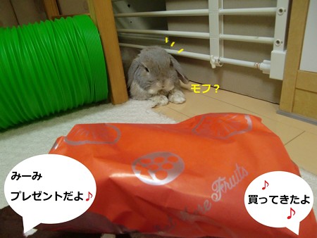 誕生日1
