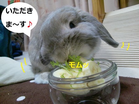 誕生日6