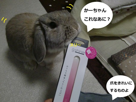 ネイル2