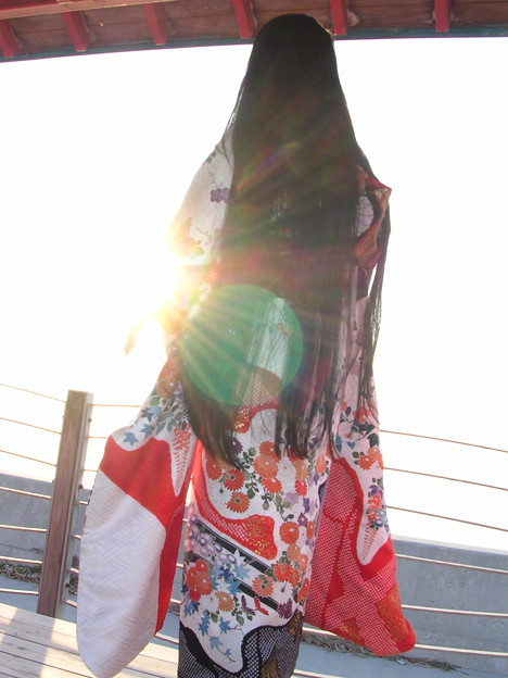 Photos: 【夕陽と振袖と黒髪と…】