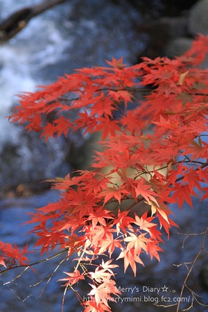 紅葉と滝