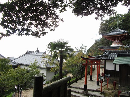 20101010 甲山森林公園034