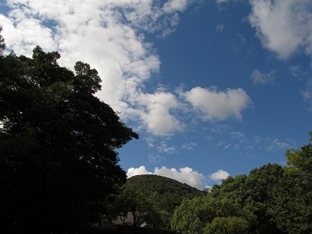 20101010 甲山森林公園008