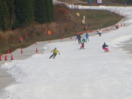 DSC00306_R