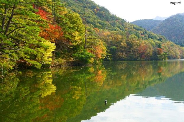 Photos: 静かな湖畔♪
