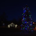 Photos: Christmas Tree 12-20-14