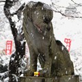 雪日の狛犬