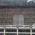 雪降る多聞院本堂(裏）